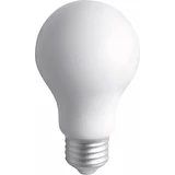 Light