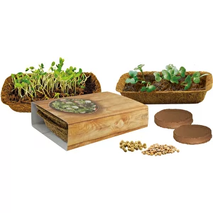 Duo de Microgreen