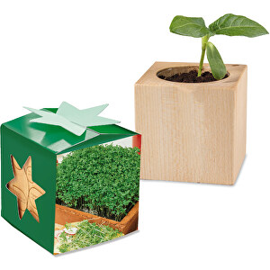 Cassetta di legno per piante -  ...