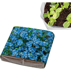 PopUp-pottejord - Forget-me-not ...