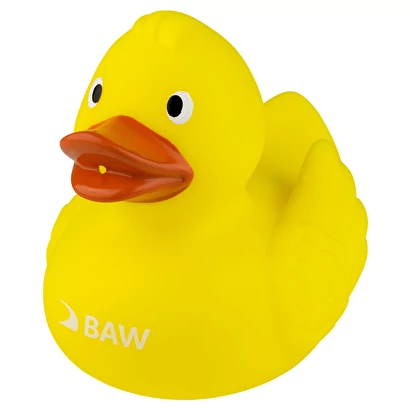 Renn-Ente mit Metallplatte von Bundesanstalt für Wasserbau