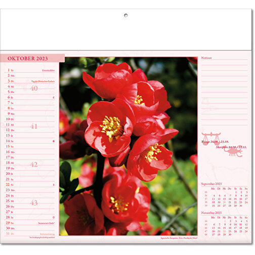 Bildkalender 'Blütenwelt' , Papier, 27,00cm x 30,00cm (Höhe x Breite), Bild 11