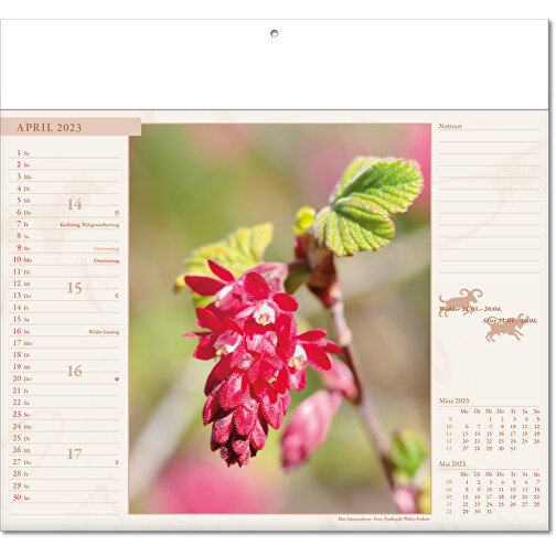 Bildkalender 'Blütenwelt' , Papier, 27,00cm x 30,00cm (Höhe x Breite), Bild 5