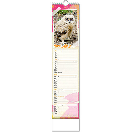 Bildkalender 'Tierbabys' , Papier, 49,00cm x 11,00cm (Höhe x Breite), Bild 12