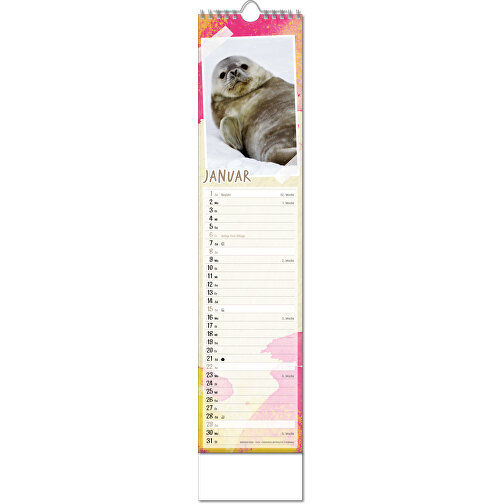 Bildkalender 'Tierbabys' , Papier, 49,00cm x 11,00cm (Höhe x Breite), Bild 2