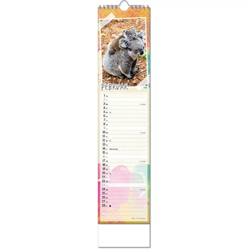 Calendrier photos 'Bébés animaux', Image 3