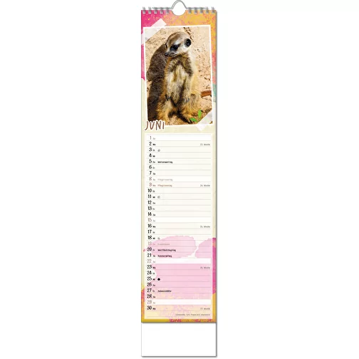 Calendrier photos 'Bébés animaux', Image 7