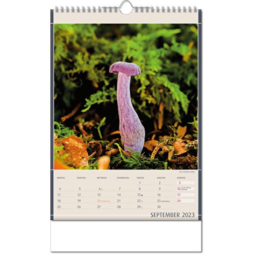 Kalender 'Naturfynd' i formatet 24 x 38,5 cm, med Wire-O-bindning, Bild 10