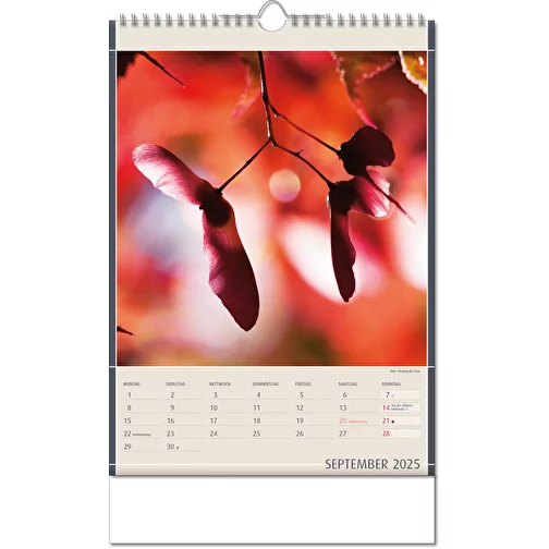 Calendrier 'Découvertes de la nature' au format 24 x 38,5 cm, avec reliure Wire-O, Image 10