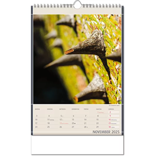 Calendrier 'Découvertes de la nature' au format 24 x 38,5 cm, avec reliure Wire-O, Image 12