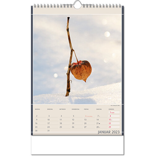 Kalender 'Naturfynd' i formatet 24 x 38,5 cm, med Wire-O-bindning, Bild 2