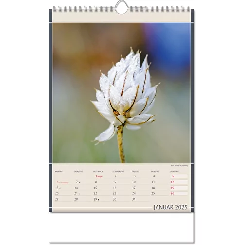 Calendrier 'Découvertes de la nature' au format 24 x 38,5 cm, avec reliure Wire-O, Image 2
