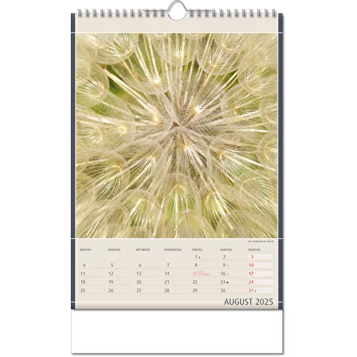 Calendrier 'Découvertes de la nature' au format 24 x 38,5 cm, avec reliure Wire-O, Image 9