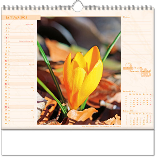 Bildkalender 'Blütenwelt' , Papier, 28,00cm x 30,00cm (Höhe x Breite), Bild 2