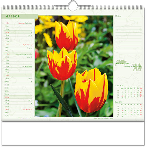 Bildkalender 'Blütenwelt' , Papier, 28,00cm x 30,00cm (Höhe x Breite), Bild 6