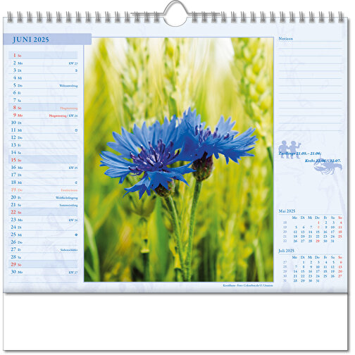 Bildkalender 'Blütenwelt' , Papier, 28,00cm x 30,00cm (Höhe x Breite), Bild 7