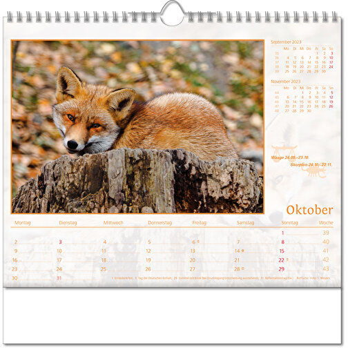 Bildkalender 'Tierwelt' , Papier, 28,00cm x 30,00cm (Höhe x Breite), Bild 11