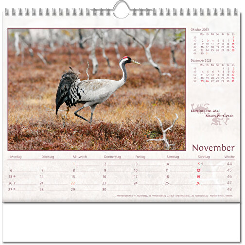 Calendario illustrato 'Mondo animale, Immagine 12
