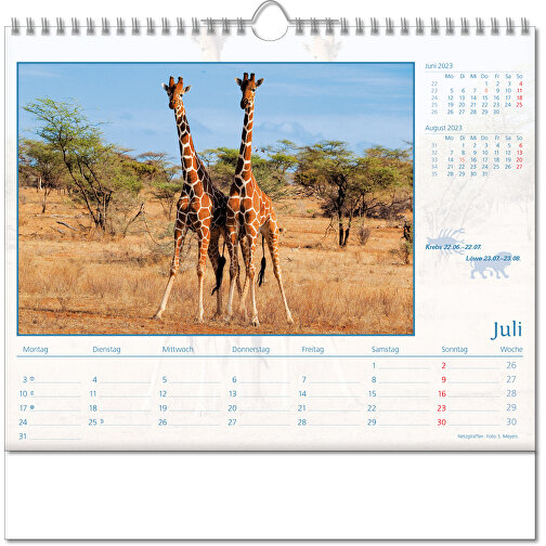 Bildkalender 'Tierwelt' , Papier, 28,00cm x 30,00cm (Höhe x Breite), Bild 8