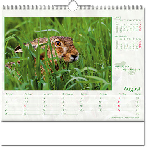 Bildkalender 'Tierwelt' , Papier, 28,00cm x 30,00cm (Höhe x Breite), Bild 9