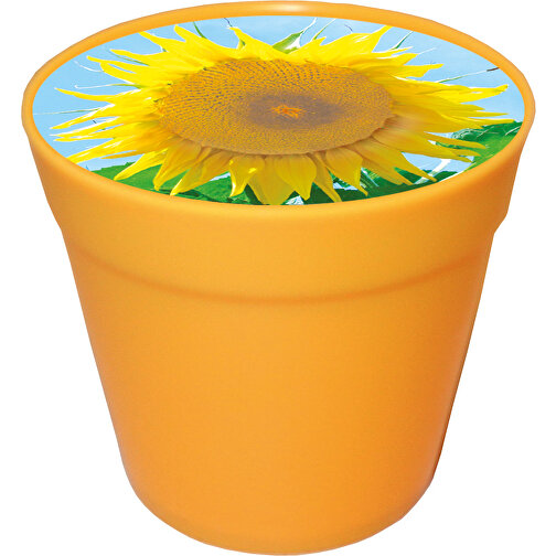 Business-Töpfchen Sonne , gelb, Kunststoff, Kokosfaser, Folie, Samen, Papier, 5,10cm (Höhe), Bild 1
