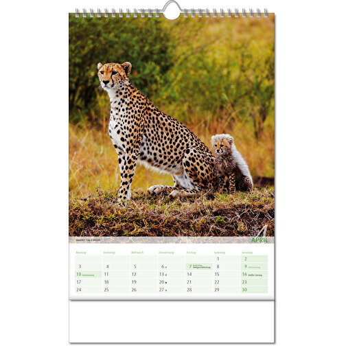 Calendario 'Vista sul regno animale' nel formato 24 x 38,5 cm, con rilegatura Wire-O, Immagine 5