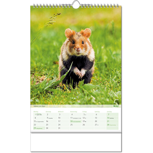 Calendario 'Vista sul regno animale' nel formato 24 x 38,5 cm, con rilegatura Wire-O, Immagine 6