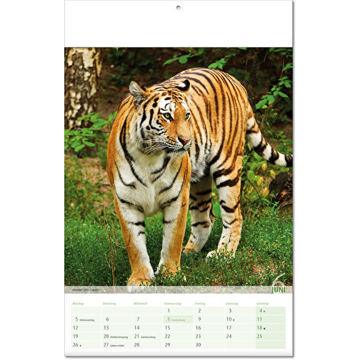 Kalender 'Udsigt til dyreriget' i formatet 24 x 37,5 cm, med foldet omslag, Billede 7