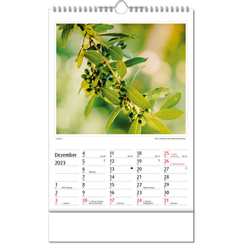 Bildkalender 'Botanica' , Papier, 34,60cm x 24,00cm (Höhe x Breite), Bild 13
