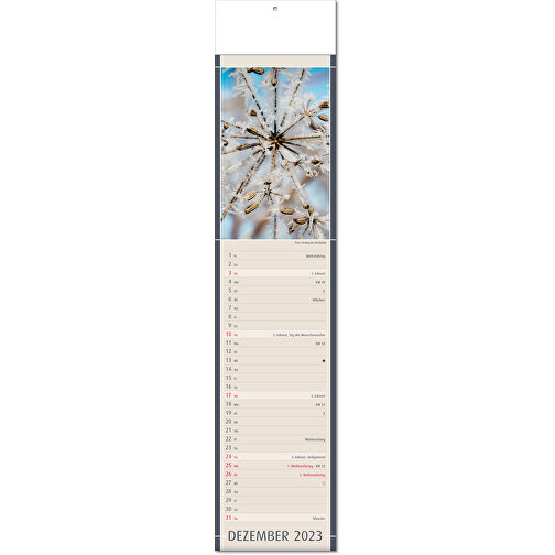 Calendrier 'Découvertes de la nature' au format 11 x 50 cm, avec plis, Image 13