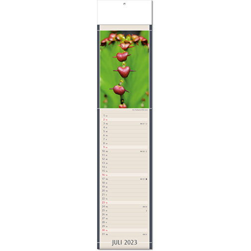 Calendrier 'Découvertes de la nature' au format 11 x 50 cm, avec plis, Image 8