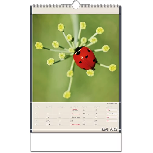 Calendrier 'Découvertes de la nature' au format 11 x 51 cm, avec reliure Wire-O, Image 6