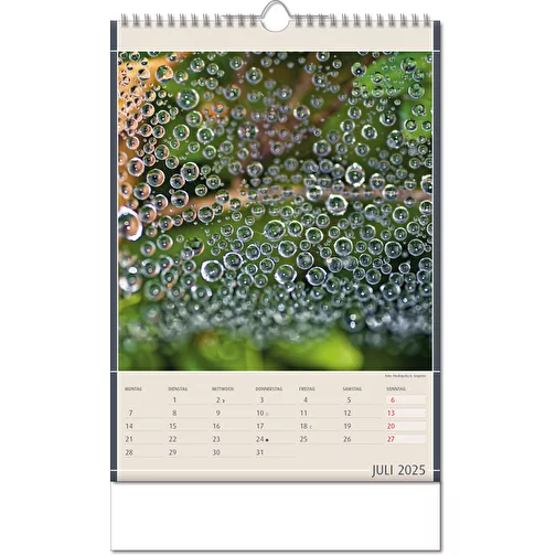 Calendrier 'Découvertes de la nature' au format 11 x 51 cm, avec reliure Wire-O, Image 8