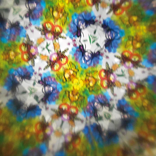 Kaléidoscope de la nature, Image 2