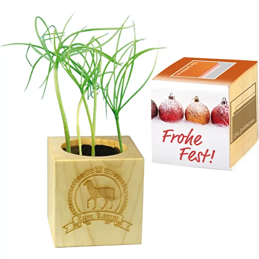 Pot cube bois Mini de Noël - Epicéa - Epicéa, Image 3