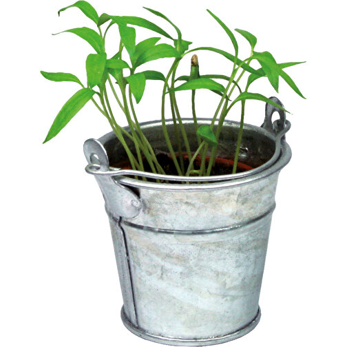Pflanzeimerchen Mit Samen - Kräutermischung , individuell, Zinkblech, Saatgut, Papier, Erde, 5,50cm (Höhe), Bild 5