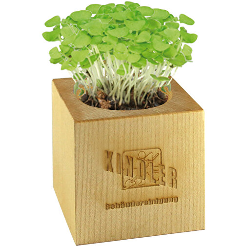 Pot cube bois maxi avec graines - Mélange de fleurs d été, 1 sites gravés au laser, Image 4