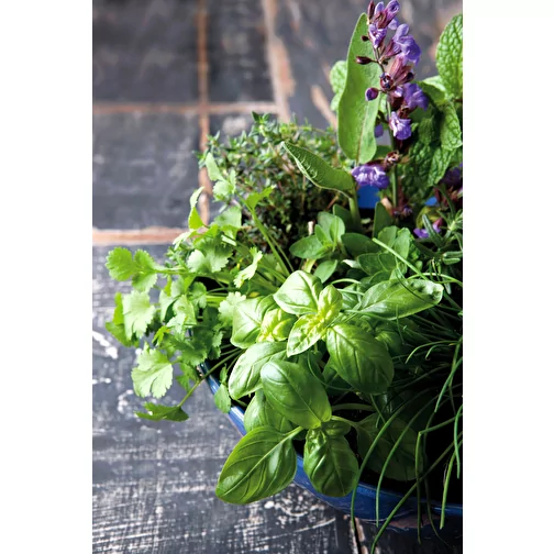 Pot cube bois maxi avec graines - Mélange d herbes aromatiques, 1 sites gravés au laser, Image 2