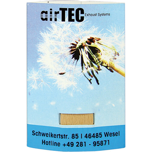 Pflanz-Stick Mit Samen - Sommerblumenmischung , Holz, Papier, Wachs, Saatgut, 5,50cm x 8,00cm (Länge x Breite), Bild 3