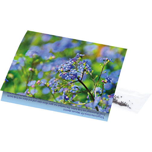 Klappkärtchen Vergissmeinnicht , blau, Papier, Folie, Samen, 9,00cm x 6,00cm (Länge x Breite), Bild 1