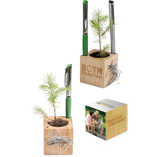 Pot cube bois de bureau de Noël - Epicéa - Epicéa, Image 5