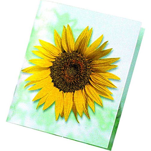 Klappkärtchen Sonne , gelb, Papier, Folie, Samen, 7,00cm x 8,00cm (Länge x Breite), Bild 1
