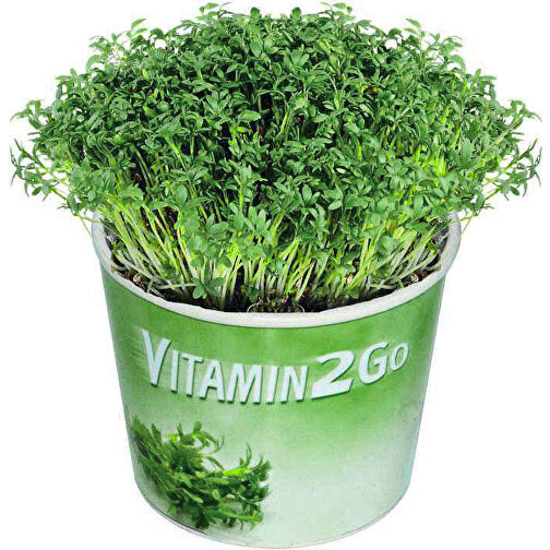 Vitamin 2Go , grün, Papier, Folie, Samen, Kokosfaser, Kunststoff, 4,50cm (Höhe), Bild 1