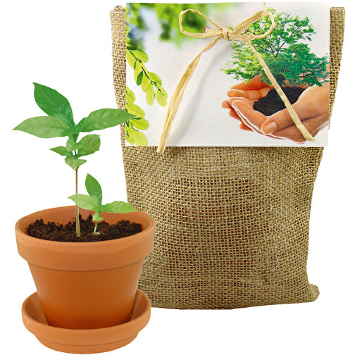 Plante su árbol en la bolsa de la naturaleza, Imagen 1