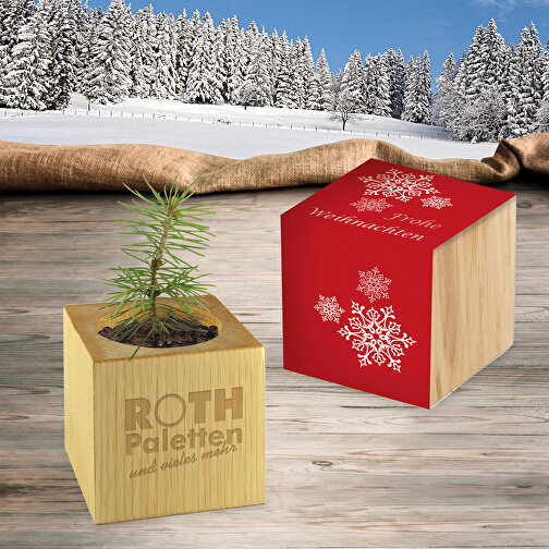 Pot cube bois de bureau de Noël - Design standard - Epicéa - sans gravure laser, Image 3