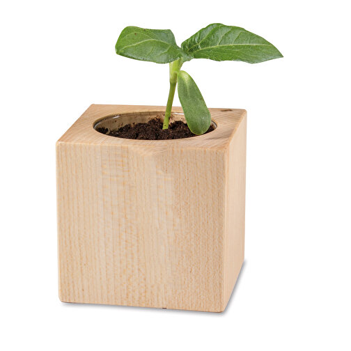 Pot cube bois mini standard, Myosotis - avec gravure laser sur 1 face, Image 3