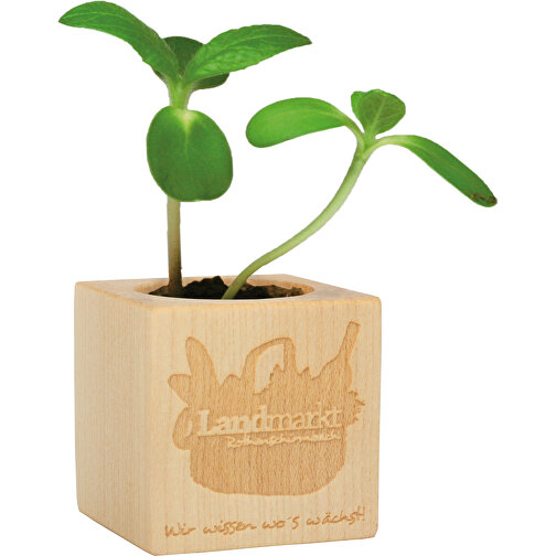 Planter - Standard Motiv - Påske - Lasergravering på en side, Bilde 2