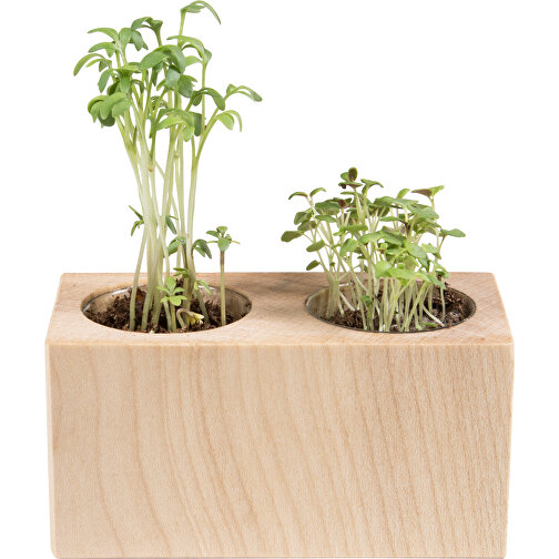 Pot bois 2 compartiments avec graines - Mélange d herbes aromatiques, Image 1