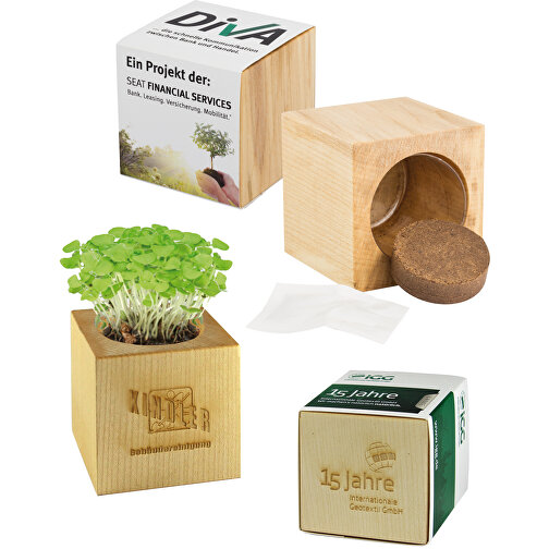 Pot cube bois maxi avec graines - Mélange d herbes aromatiques, 2 sites gravés au laser, Image 5