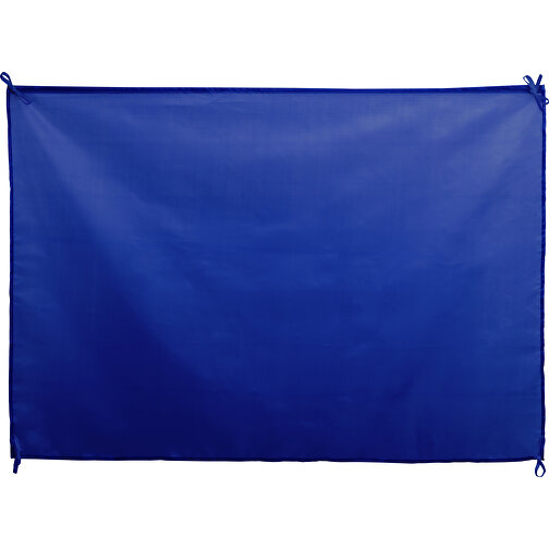 Fahne DAMBOR , blau, Polyester, 100,00cm x 70,00cm (Länge x Breite), Bild 1